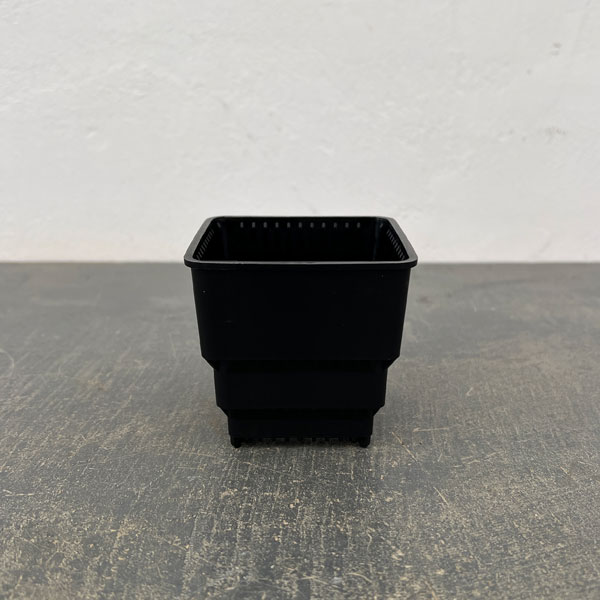 すごい根：メッシュ構造プラバチ　スクエアショート　2.5号　10個入り