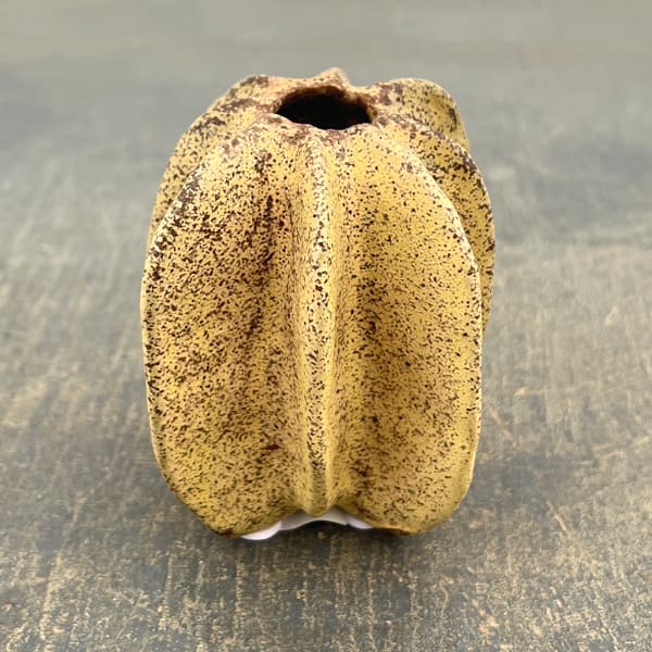 フラワーベース：ムルグ（幅・奥行8cm、高さ8.5cm）559416