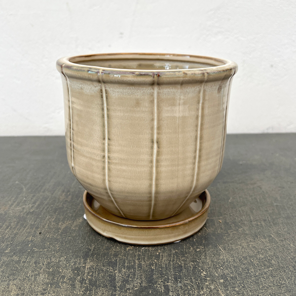 エンシェント ポット アンド ソーサー Mサイズ アイボリー（直径14cm×高さ13.2cm）