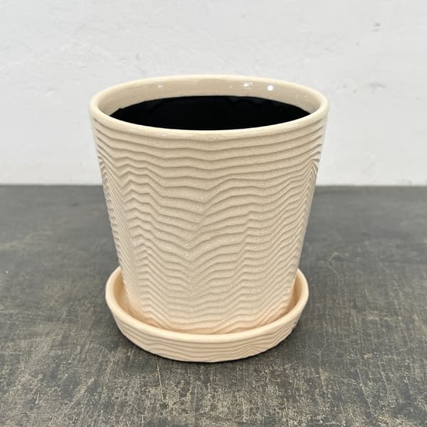 パルサー ポット アンド ソーサー Mサイズ ホワイト（直径13.5cm×高さ14cm）