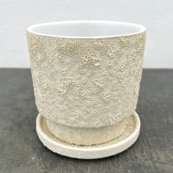 クラック ポット アンド ソーサー Mサイズ ホワイト（直径13.8cm、高さ14cm）