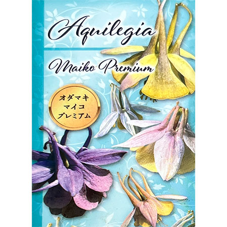 オダマキ：ミモトオダマキ　マイコプレミアム3.5号ポット 6株セット