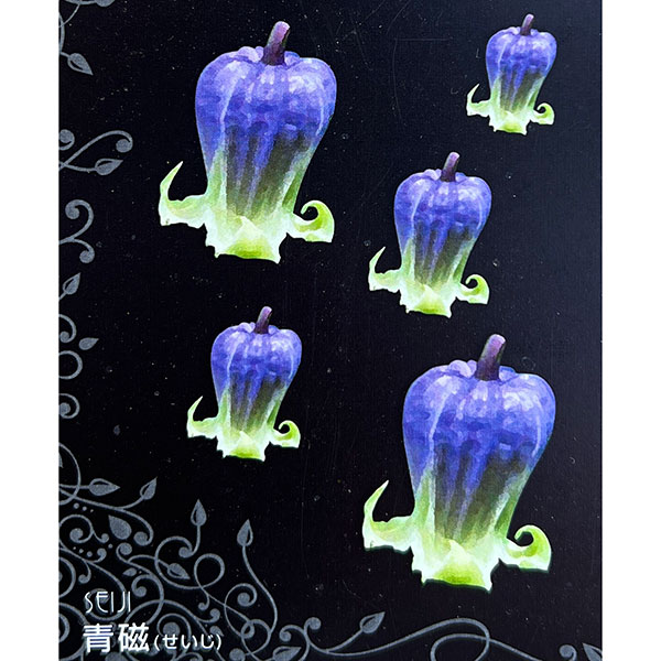 クレマチス：セイジ（青磁）4号ポット（ビオルナ系）