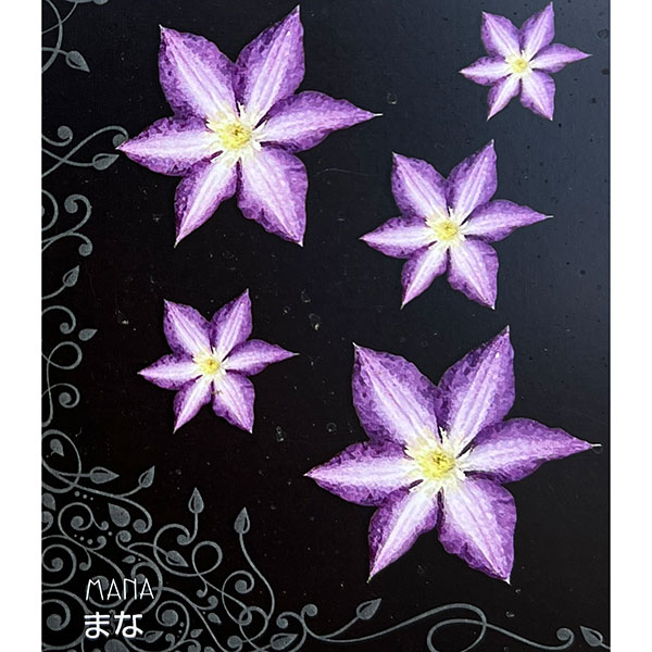 クレマチス：まな4号ポット(ビチセラ系)