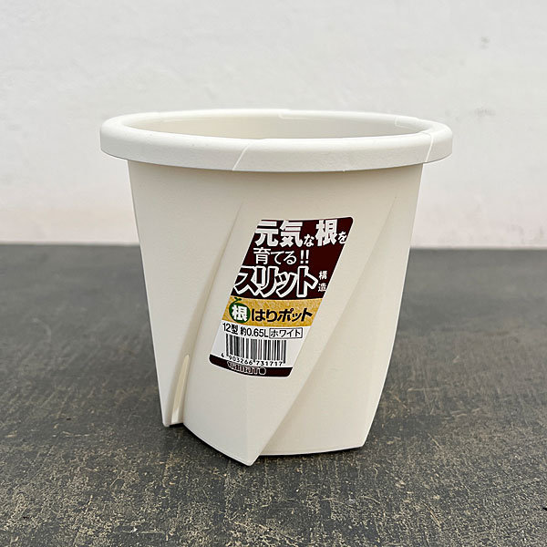 根はりポット 12型（直径12.0cm、高さ11.4cm、容量0.65L）ホワイト 10個セット