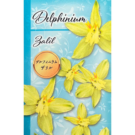 デルフィニウム：ザリル3.5号ポット 3株セット
