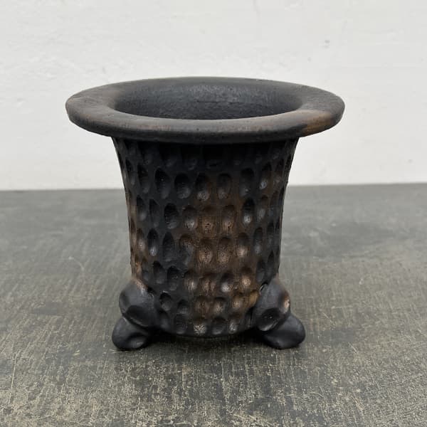 信楽焼き：万山オモト 5号（直径約15cm）