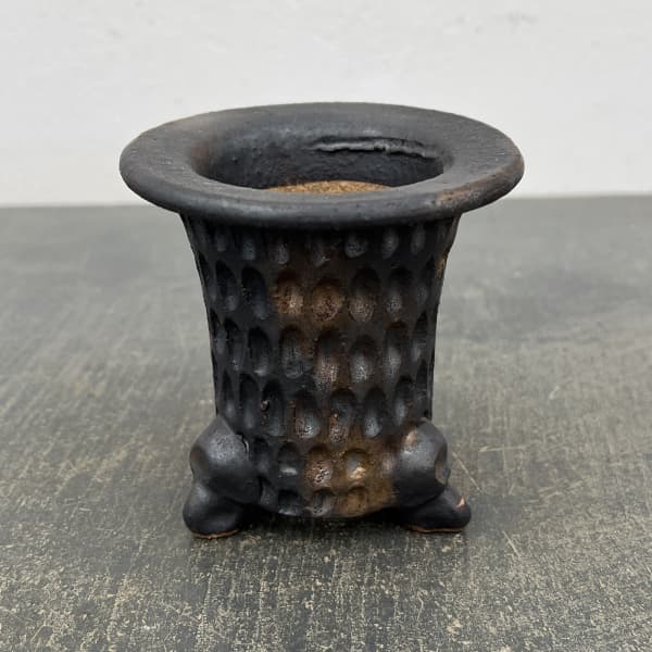 信楽焼き：万山オモト 3.5号（直径約9.5cm）