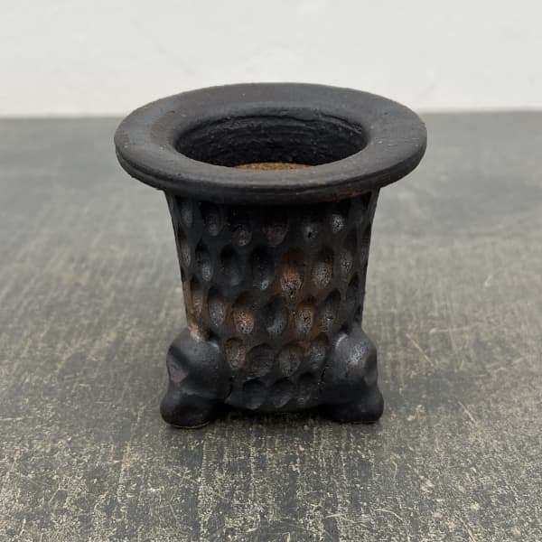 信楽焼き：万山オモト 3号（直径約8cm）