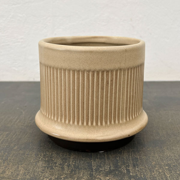 ミネルバ：ベージュS（直径約13cm）