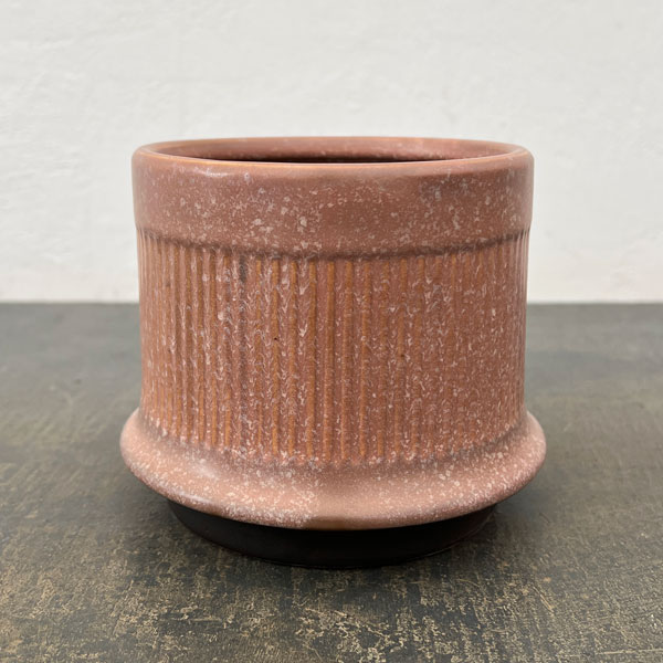 ミネルバ：紫S（直径約13cm）