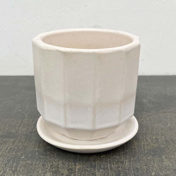 信楽焼き：デネブ チタンホワイト（直径約12.5cm）・受け皿付