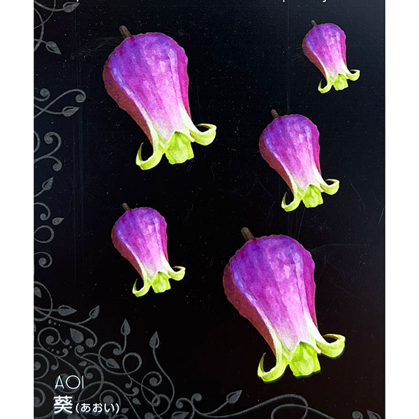 クレマチス：あおい（葵）4号ロングポット（ヴィオルナ系）