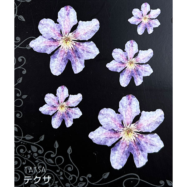 クレマチス：テクサ4号ロングポット（ジャックマニー系）