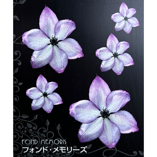 クレマチス：フォンドメモリーズ4号ロングポット（フロリダ系）