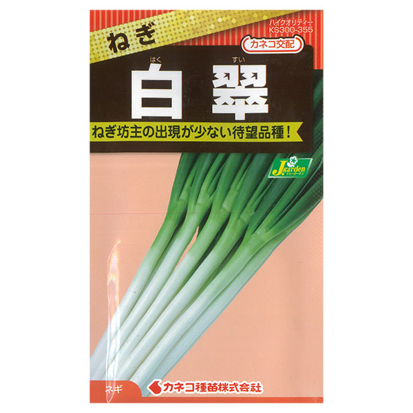 ネギ：白翠（はくすい）[野菜タネ　秋、春まき]