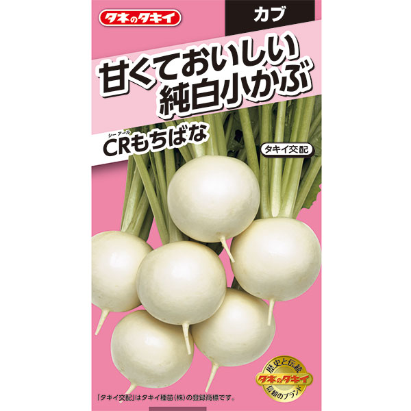 カブ：CRもちばな　の種[タキイ 野菜タネ]