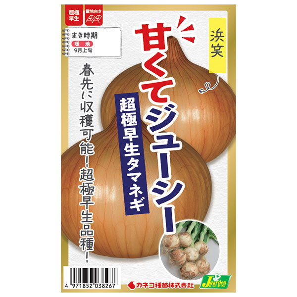 タマネギ（玉ねぎ）：超極早生玉ねぎ 浜笑（はまえみ）[野菜タネ]