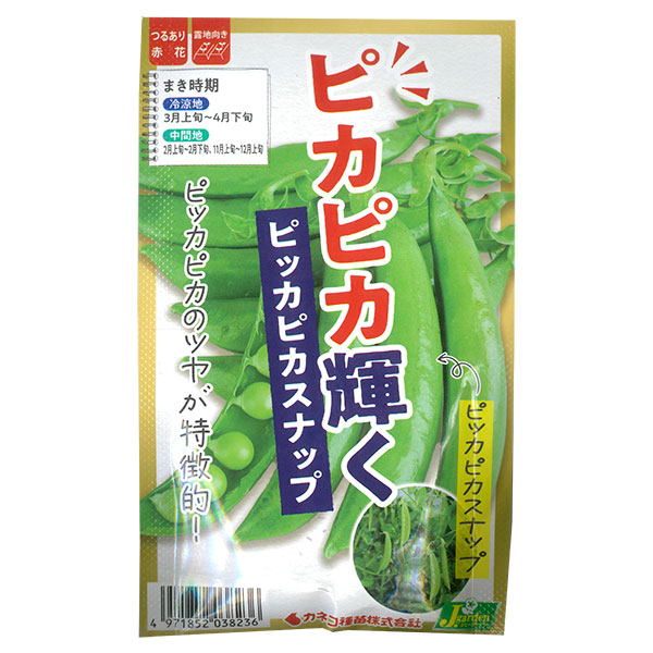 エンドウ：ピカピカ輝く ピッカピカスナップ[秋・春まき 野菜タネ]