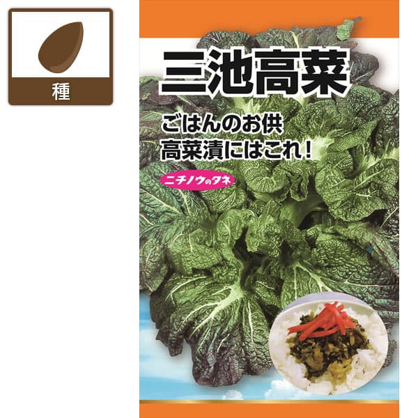 タカナ：三池高菜（みいけたかな）　の種