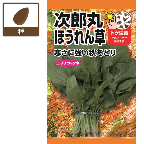 ホウレンソウ：次郎丸ほうれん草　の種