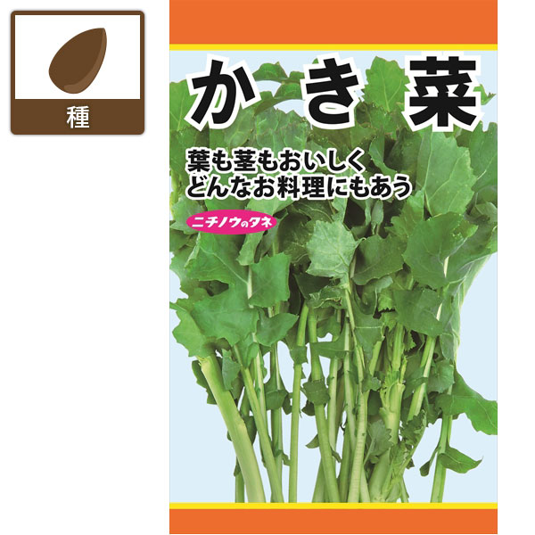 かき菜　の種