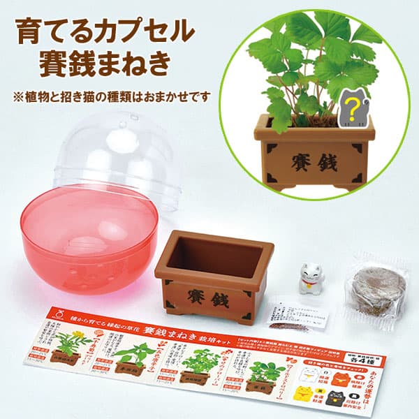 [ギフトに]育てるカプセル：賽銭まねき　1個
