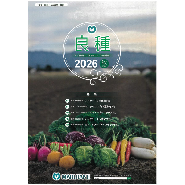 【会員プレゼント！】商品カタログ：丸種 良種2026秋（秋まき野菜の種カタログ）