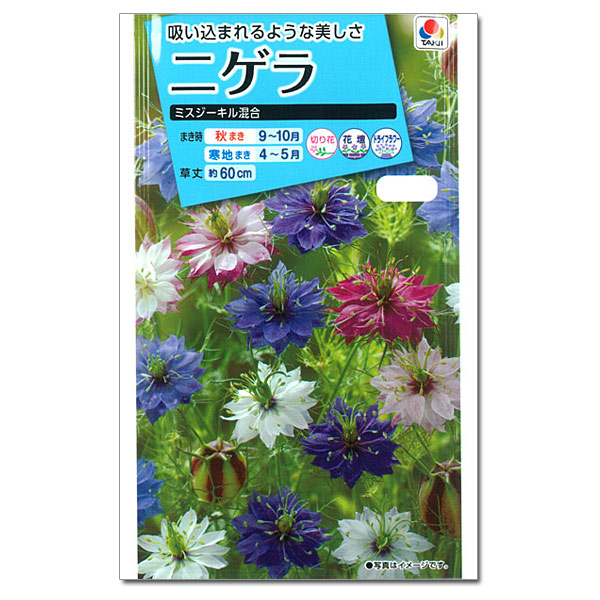 ニゲラ：ミスジーキル混合 3袋セット[タキイ 花タネ]