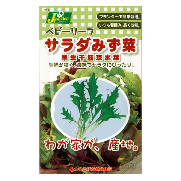 ベビーリーフの種：サラダみず菜 早生千筋京水菜 4袋セット[タネ]