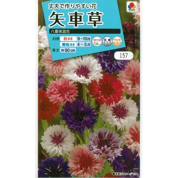 ヤグルマギク（矢車草・セントーレア）：八重咲混合 3袋セット[タキイ 花タネ]
