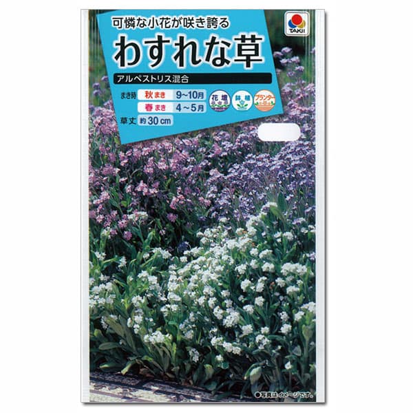 わすれな草：アルペストリス混合 3袋セット[タキイ 花タネ]