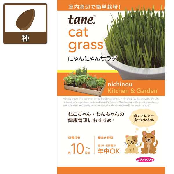 ｔａｎｅ，にゃんにゃんサラダ（ネコ草） 2袋セット