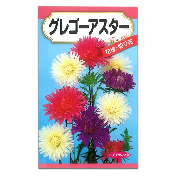アスター：グレゴーアスター 2袋セット[巨大輪　カクタス咲き　花色ミックス　花タネ]