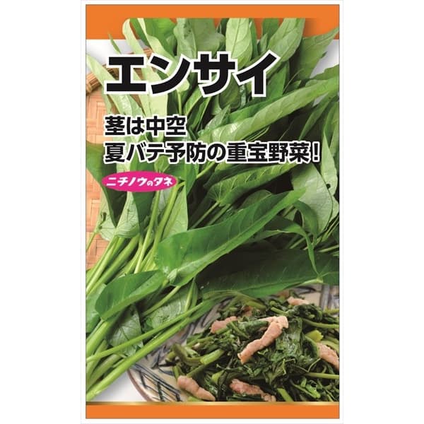 エンサイ の種 2袋セット[夏バテ予防の重宝野菜！　野菜タネ]