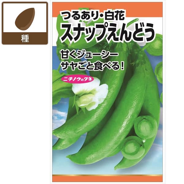 エンドウ：スナップえんどう(つるあり・白花) 3袋セット[野菜タネ　秋冬まき（寒地は春まき）]