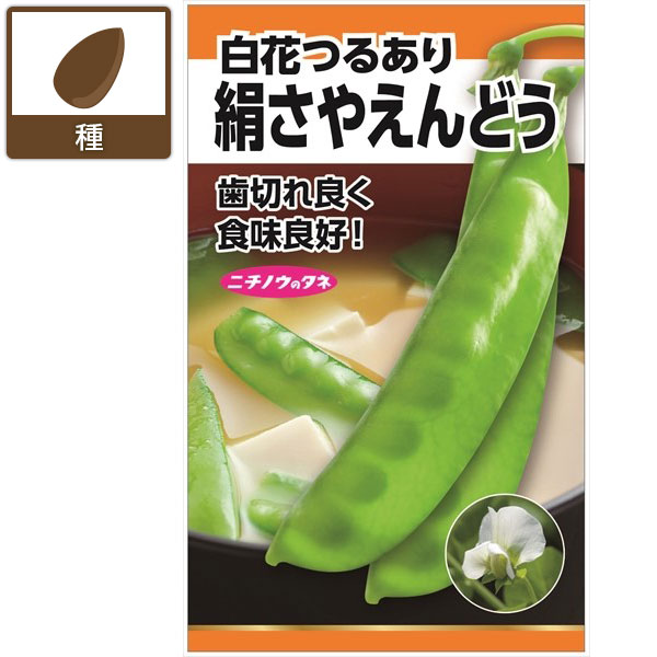 エンドウ：絹莢えんどう(つるあり・白花) 2袋セット[野菜タネ　秋まき（寒地は春まき）]