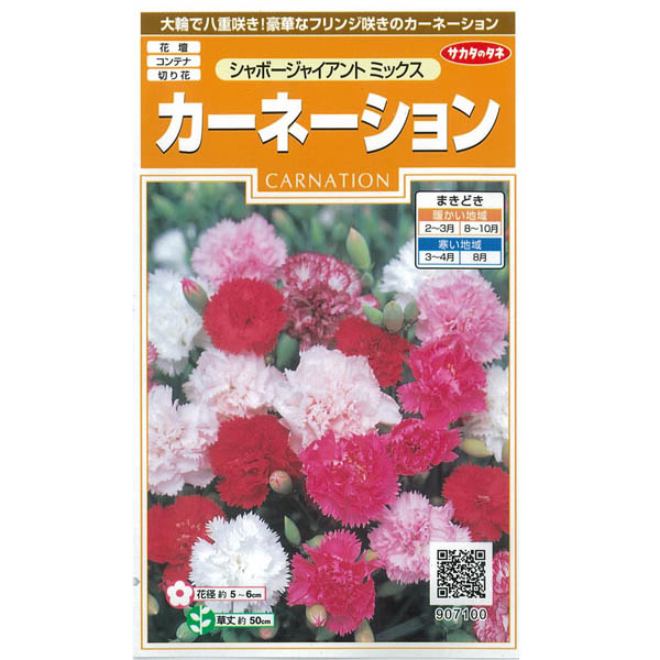 カーネーション：シャポージャイアントミックスの種 3袋セット[花タネ]