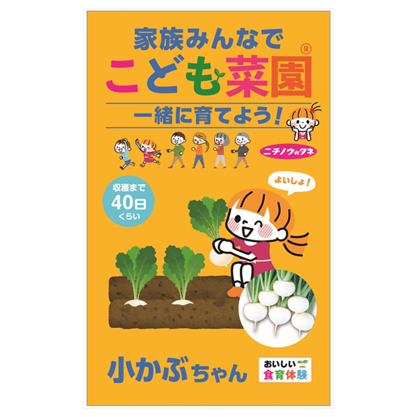 カブ：こども菜園(R)（小かぶちゃん） 2袋セット[野菜のタネ]