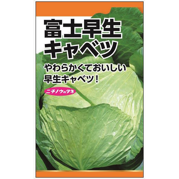 キャベツ：富士早生キャベツの種 2袋セット[野菜タネ]