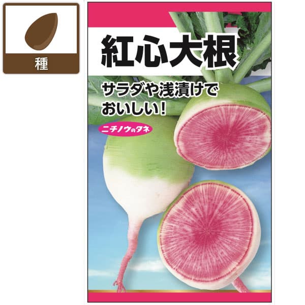 ダイコン：紅心大根（こうしんだいこん） 2袋セット[野菜タネ　夏秋まき]