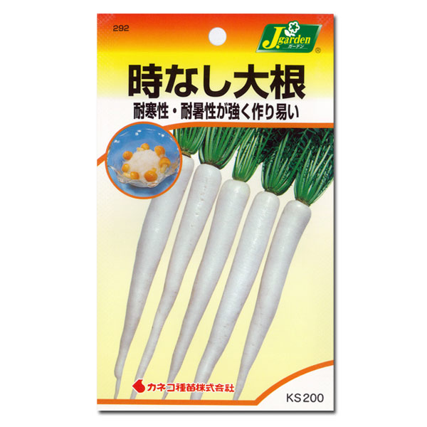 ダイコン：時なし大根 3袋セット[野菜タネ]