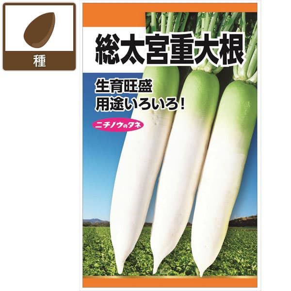ダイコン：総太宮重大根（そうぶとりみやしげだいこん） 2袋セット[野菜タネ　夏秋まき]