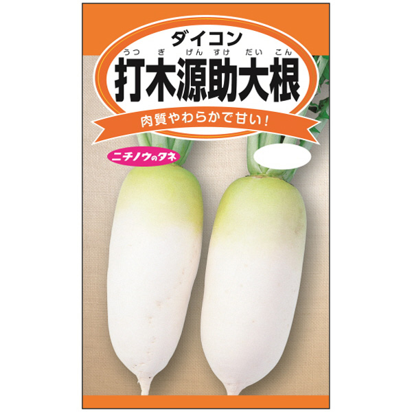 ダイコン：打木源助大根（うつぎげんすけ） 2袋セット[煮物やおでんにピッタリの伝統野菜　野菜タネ]