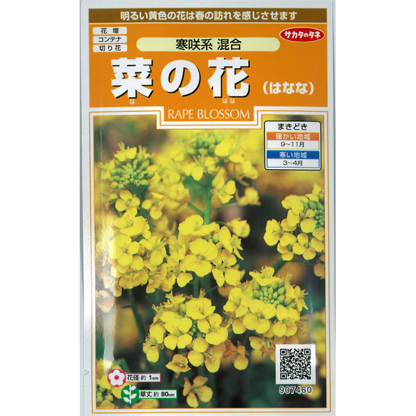 ナノハナ（菜の花）：寒咲系混合 2袋セット[花タネ]