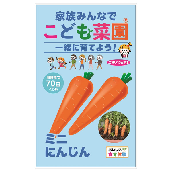 ニンジン種：こども菜園(R)（ミニにんじん） 3袋セット[野菜のタネ　ほぼ周年まき]