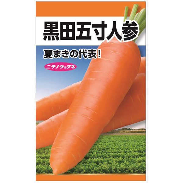 ニンジン種：黒田五寸人参の種 3袋セット[花タネ　野菜タネ]