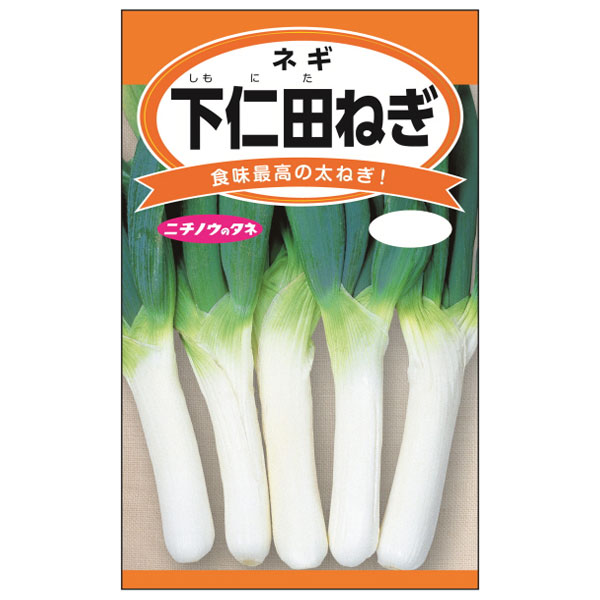ネギ：下仁田ネギ 2袋セット[しもにた　太ネギの王様　加熱すると甘く滑らかな食感に！　野菜タネ]