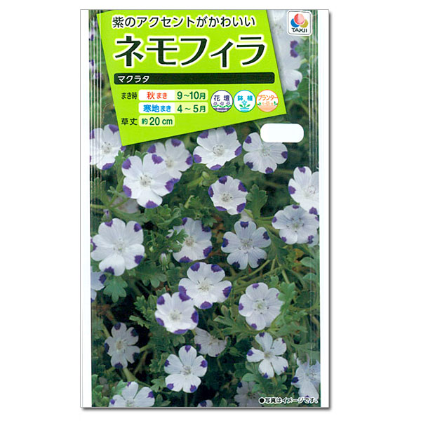 ネモフィラ：マクラタ 2袋セット[タキイ 花タネ]