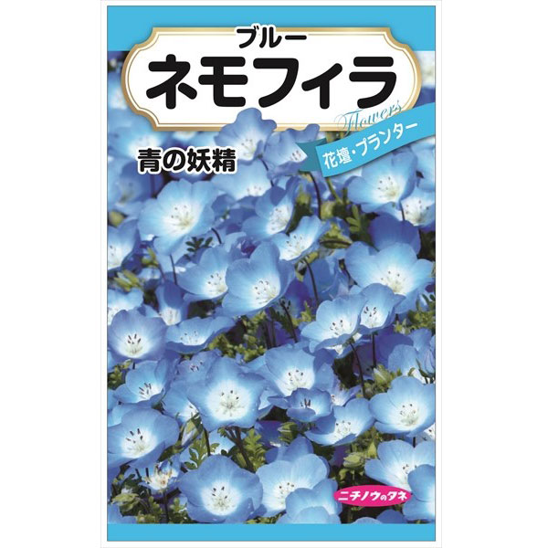 ネモフィラの種 2袋セット[花タネ]
